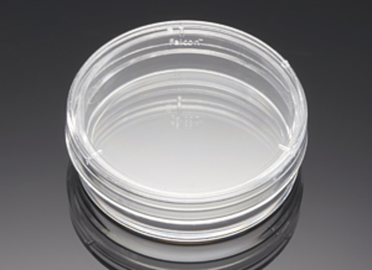 Corning Incorporated Pack of 12 100 mm Diameter Corning 70165-101 Petri Culture Dish with Cover 15 mm H 
