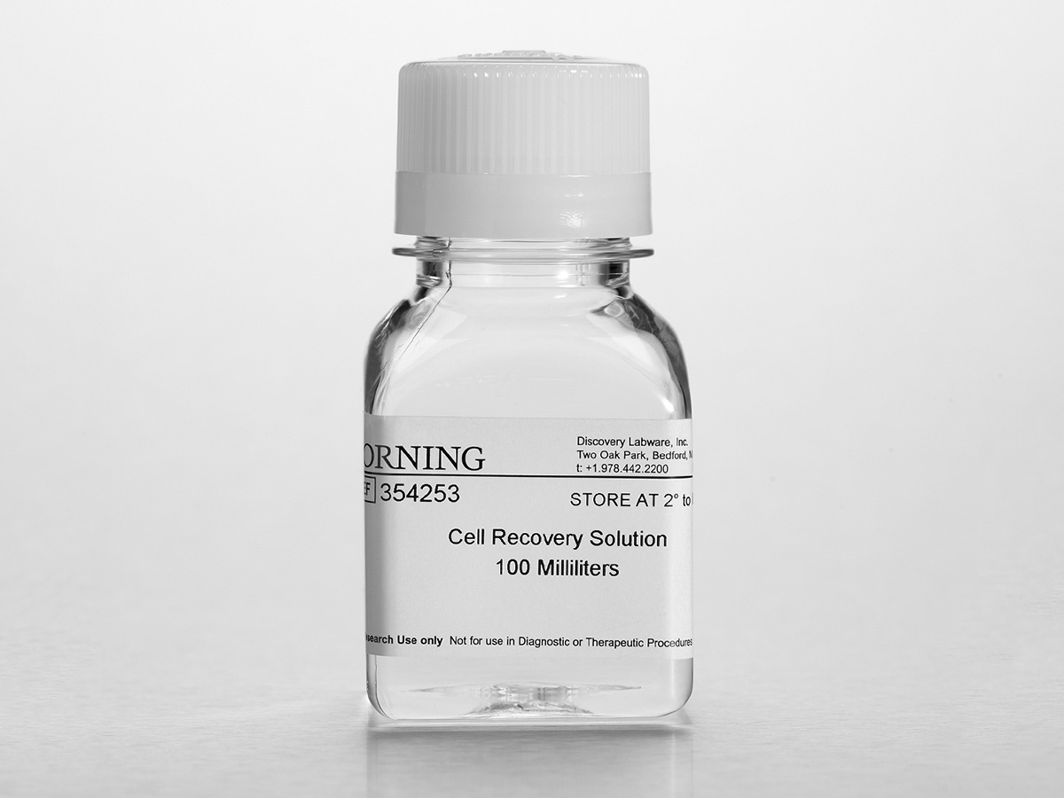 Corning® Cell Recovery Solution, 100mL