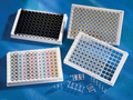 Corning® 96-well Clear Polystyrene Not Treated Stripwell™ Microplate, 25 per Bag, without Lid, Nonsterile