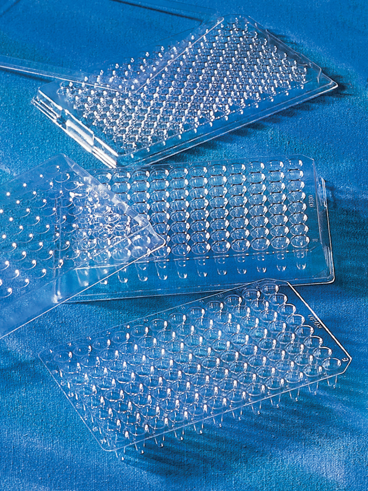 Corning® Thermowell® 96-well Polycarbonate PCR Microplates