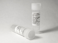 Corning® rLaminin-521, Human, 500µg Vial