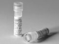 Corning® rLaminin-521, Human, 100µg Vial