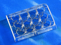 Corning® CellBIND® 12孔透明多孔板，平底，带盖，无菌