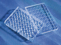 Corning® CellBIND® 48-well Multiple Well Plates, Flat Bottom, Clear, with Lid, Sterile