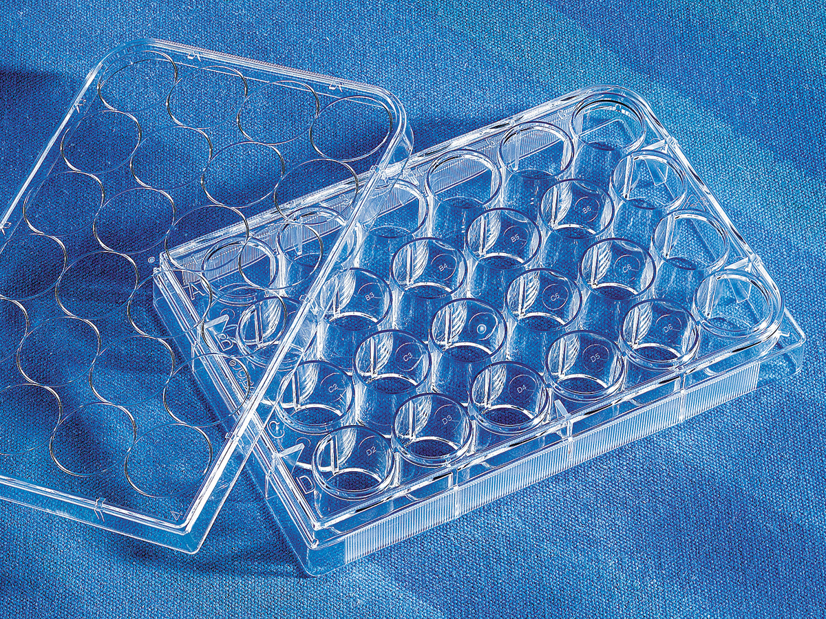 3473, Costar® 24-well Clear Flat Bottom Ultra-Low Attachment Multiple Well  Plates, Individually Wrapped, Sterile