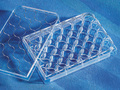 Costar® 24-well Clear TC-treated Multiple Well Plates, Bulk Pack, Sterile