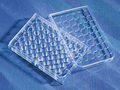 Costar® 48-well Clear TC-treated Multiple Well Plates, Individually Wrapped, Sterile