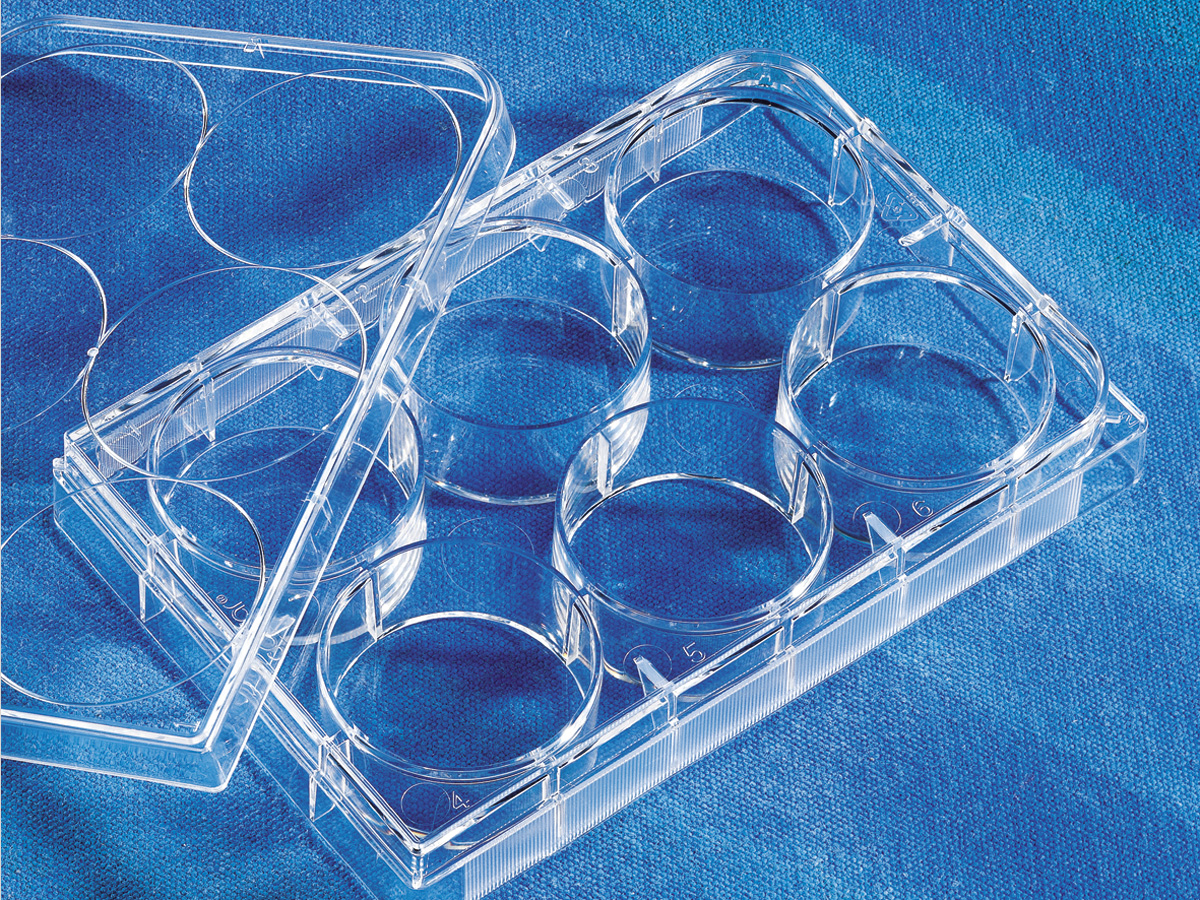 Corning Costar 3471 Polystyrene Sterile Clear Flat Bottom Ultra-Low Attachment Multiple Well Plate with 6 Wells and Lid Case of 24 Individually Wrapped 16.8mL Well Volume