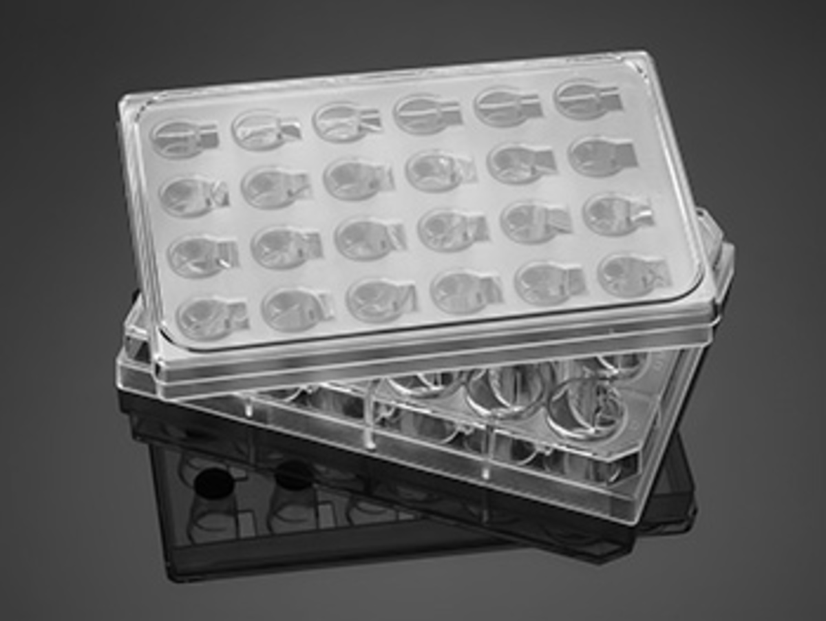 Falcon® 24 Well Multiwell Insert System with 1.0 μm Pore High Density PET Membrane, 5/Case, 1 x 5