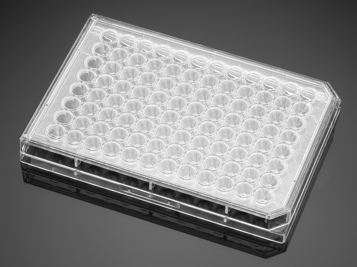 cm Cell Growth Area Sterile Case of 32 Black Corning Falcon 353376 Polystyrene 96 Well Flat Bottom TC-Treated Cell Culture Microplate with Lid 0.34 sq 