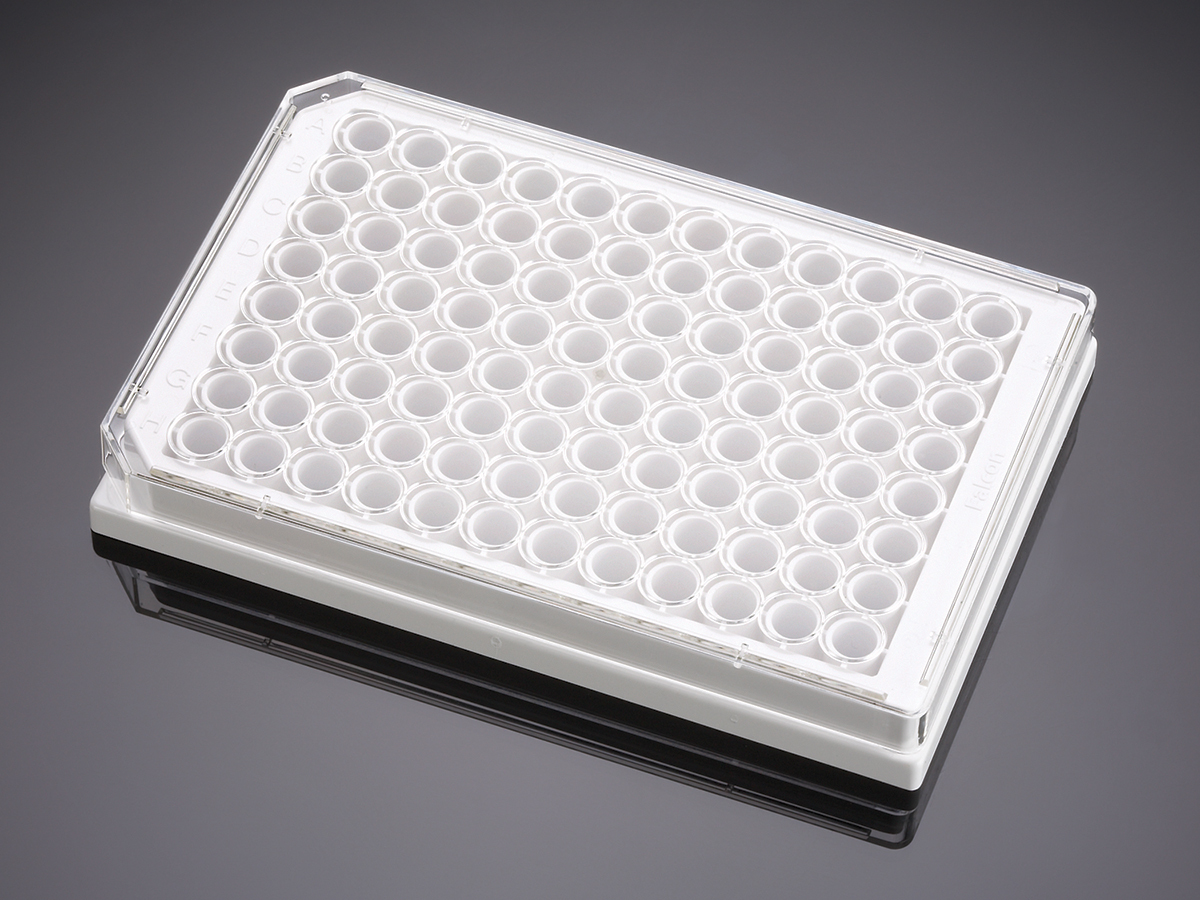 Falcon 96 Well White Clear Flat Bottom Tc Treated Microplate With Lid Sterile 8 Pack 32 Case Standard With Lid Format Life Sciences United States Consumer Site Corning