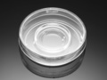 Falcon® 60 mm TC-treated Center Well Organ Culture Dish, Sterile, 20/Pack, 500/Case