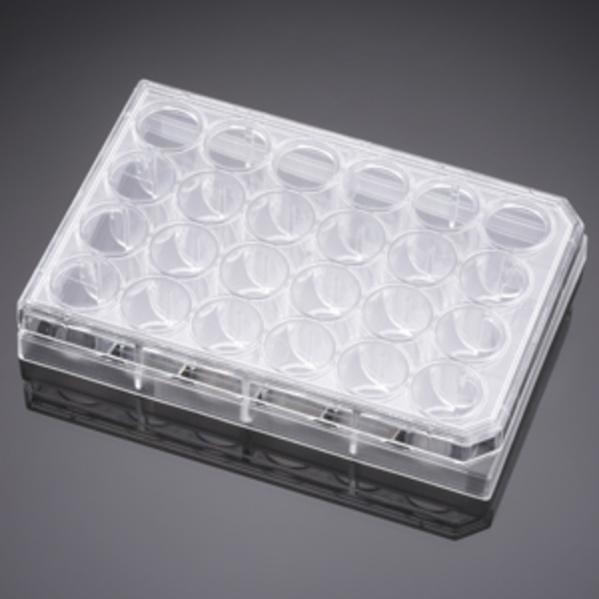 Falcon® 24 Well TC-Treated Cell Polystyrene Permeable Support Companion Plate, with Lid, Sterile, 1