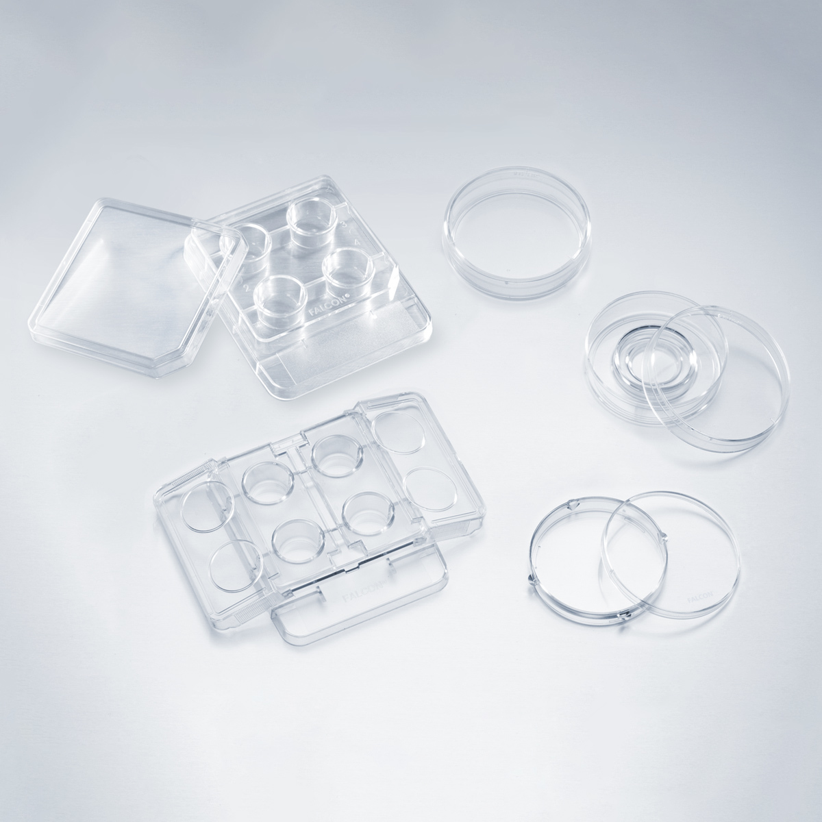 Falcon 4 Well Tc Treated I In Vitro I Fertilization Ivf Plate 1 39 Cm Well Area Life Sciences United States Consumer Site Corning Found 0 sentences matching phrase falcon petri dish.found in 0 ms. falcon 4 well tc treated i in vitro