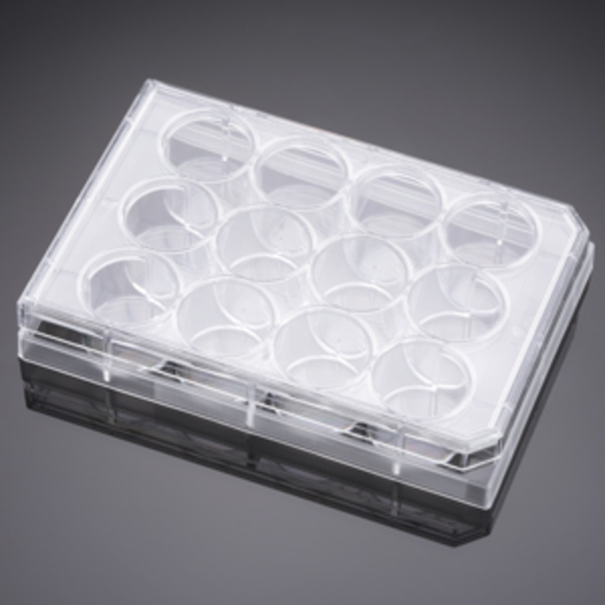 Falcon® 12 Well Clear Flat Bottom TC-Treated Multiwell Cell Culture Plate, with Lid, Individually Wr
