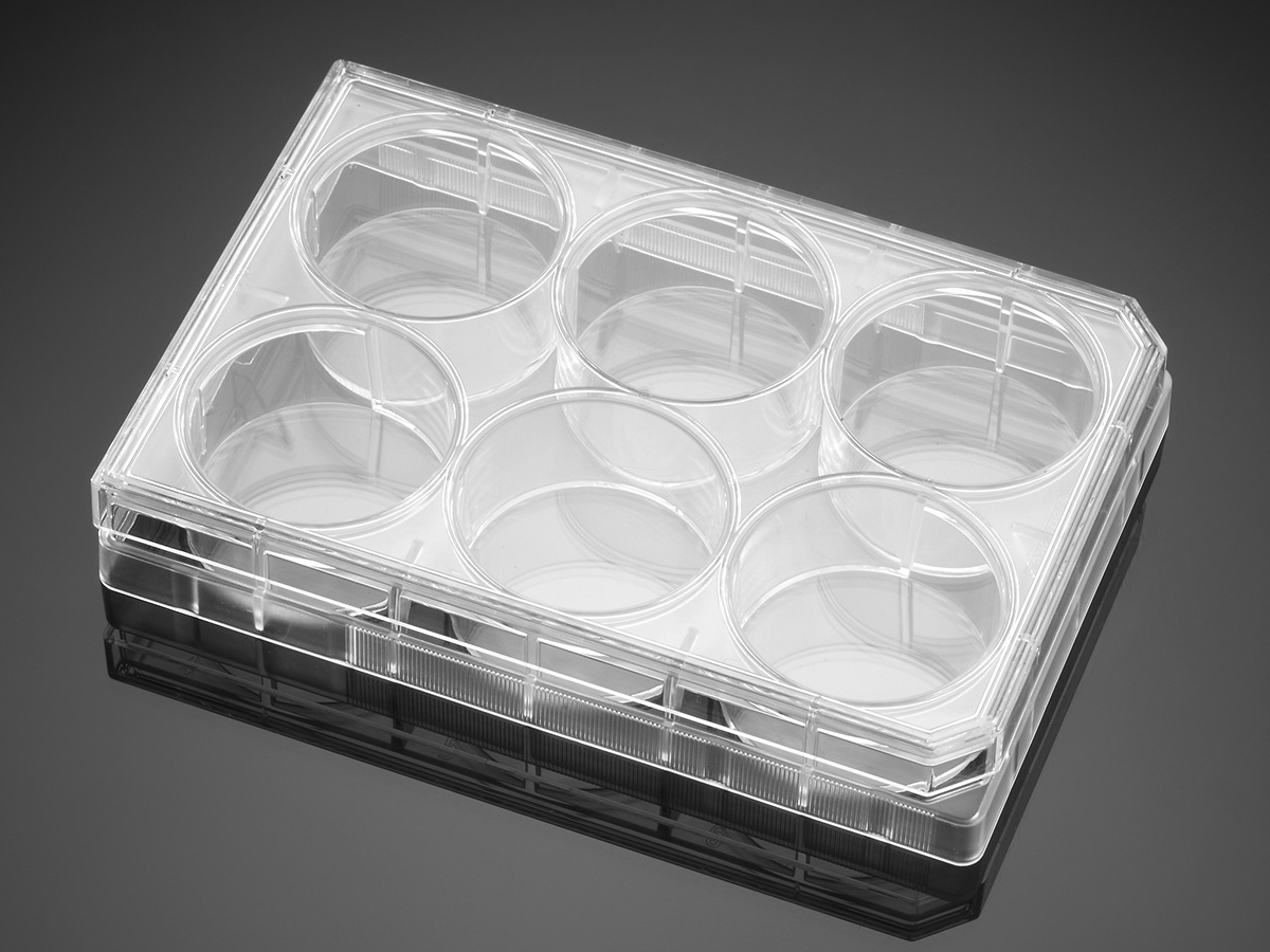 Falcon® 6 Well Clear Flat Bottom TC-Treated Multiwell Cell Culture Plate, with Lid, Sterile, 6/Bag,