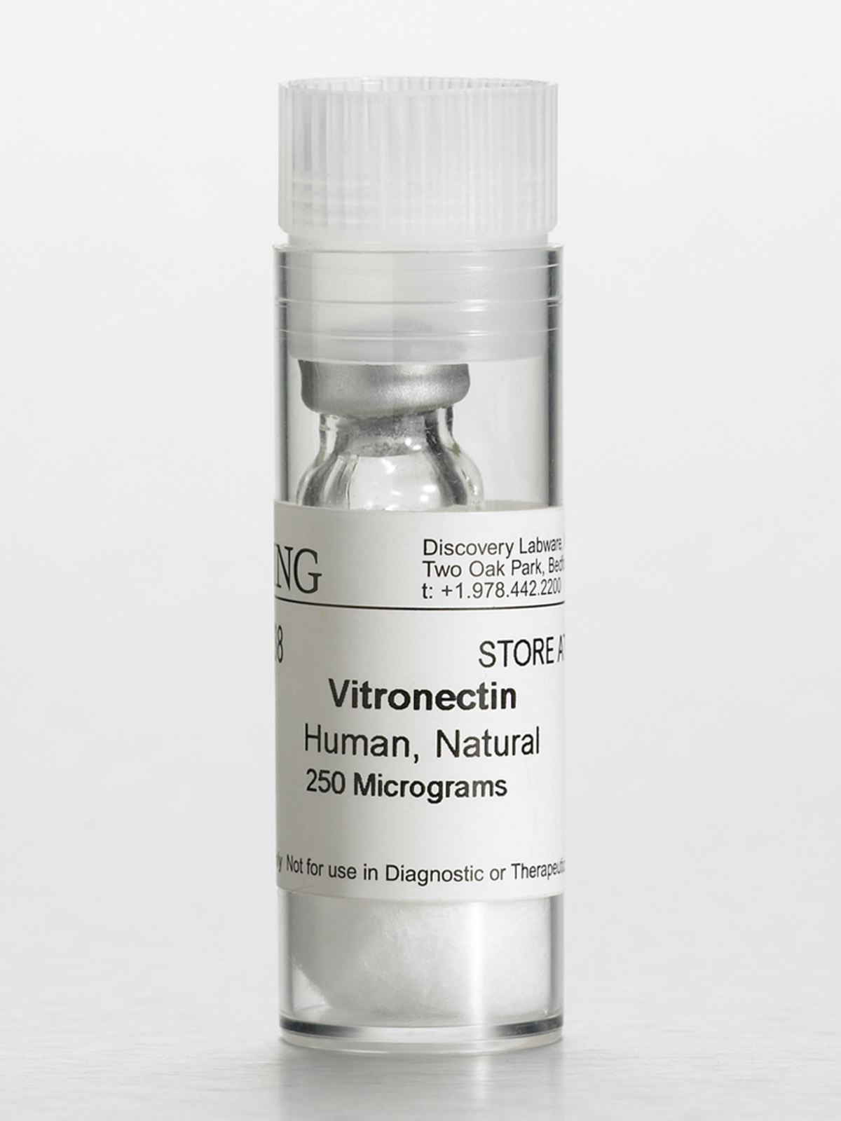 Corning® ビトロネクチン、ヒト0.25 mg(凍結乾燥)