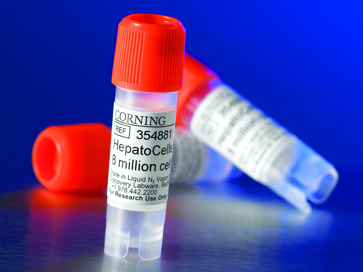 Corning® HepatoCells, ≥ 8 Million Cells