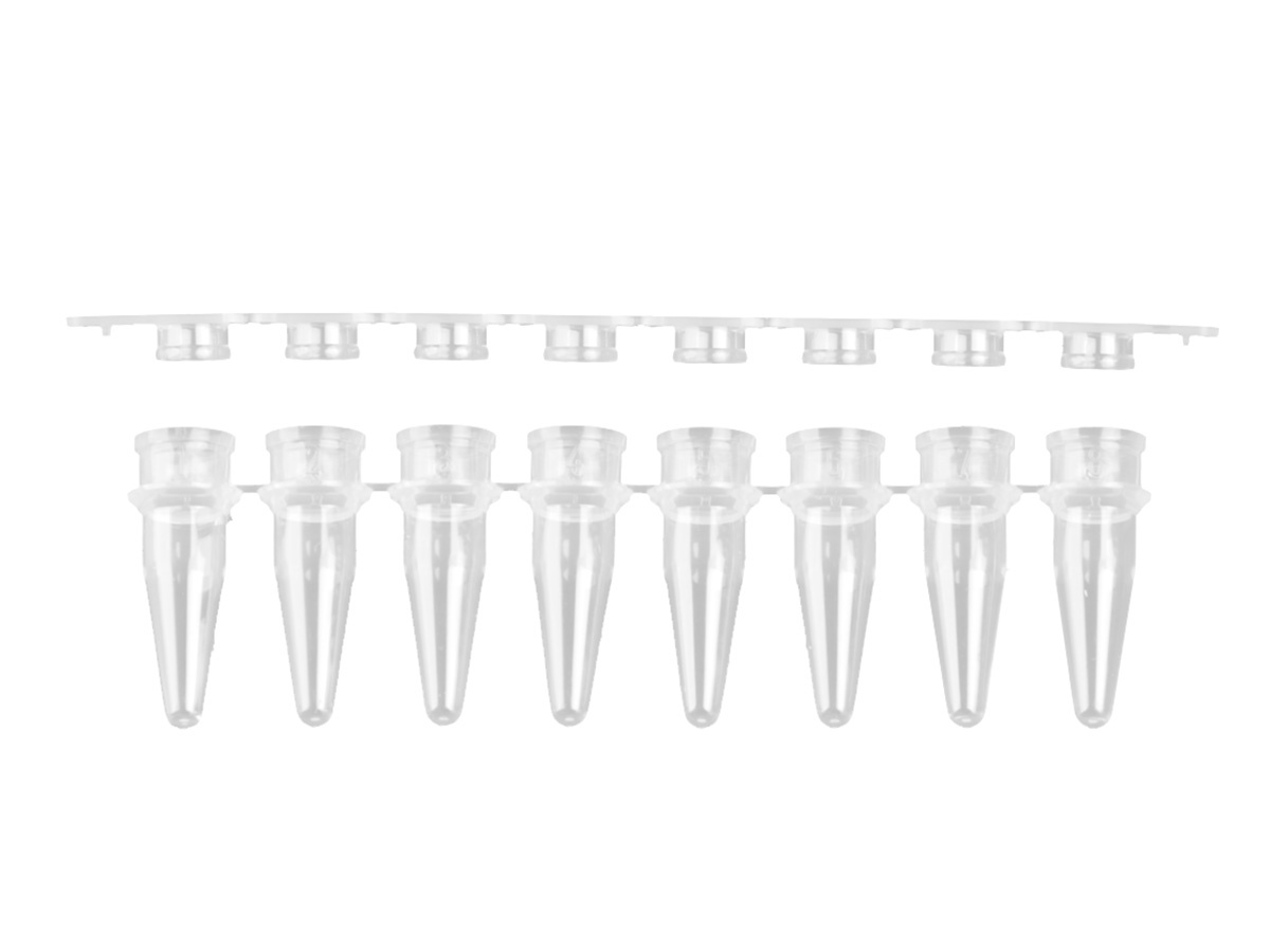 Axygen® 0.2 mL Polypropylene PCR Tube Strips and Flat Cap Strips, 8 Tubes/Strip, 8 Flat Caps/Strip, Clear, Nonsterile