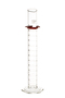 PYREX® Single Metric Scale, 250 mL Graduated Cylinder, TC