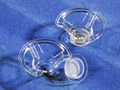12 mm Snapwell™ Insert with 0.4 µm Pore Polycarbonate Membrane, Sterile