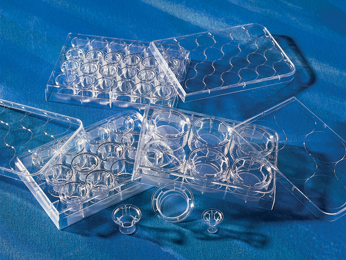 Transwell®-COL Collagen-coated Inserts, PTFE Membrane
