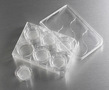 Corning® 24 mm Transwell® with 0.4 µm Pore Polyester Membrane Insert, Sterile