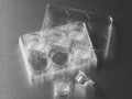Corning® 24 mm Transwell® with 3.0 µm Pore Polycarbonate Membrane Insert, Sterile