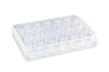 Corning® 6.5 mm Transwell® with 5.0 µm Pore Polycarbonate Membrane Insert, Sterile