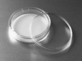 Corning® 75 mm Transwell® with 0.4 µm Pore Polycarbonate Membrane Insert, Sterile