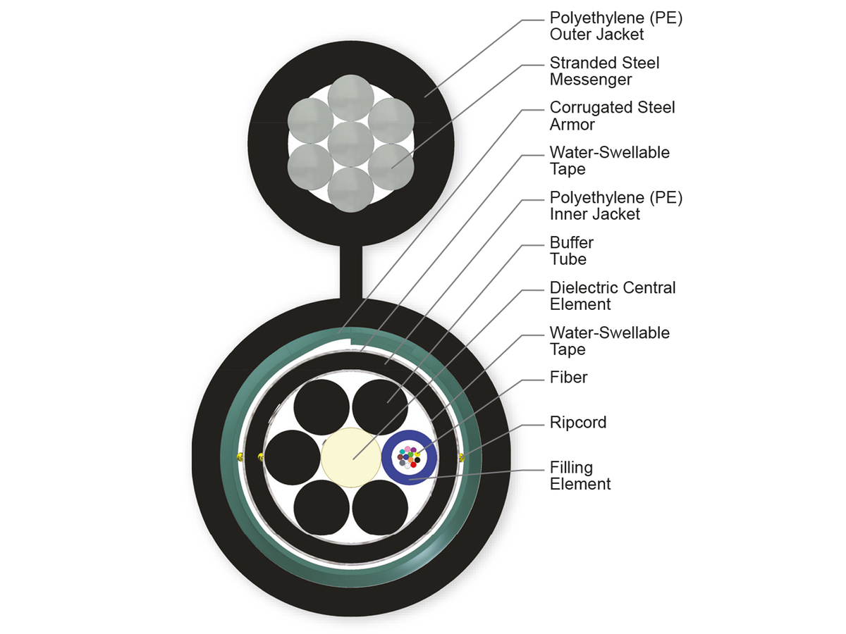 12 F, 62.5 µm multimode (OM1)