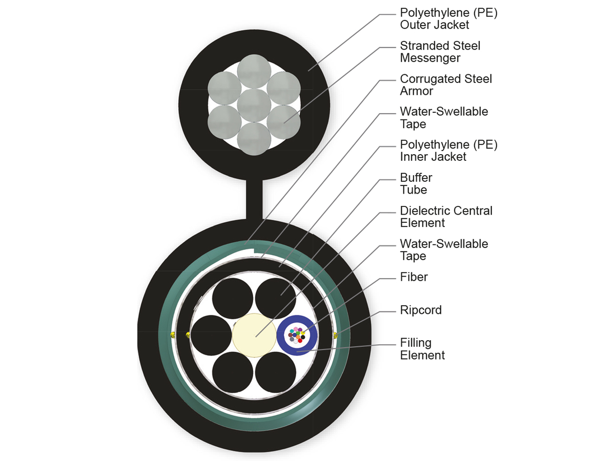 12 F, 62.5 µm multimode (OM1)