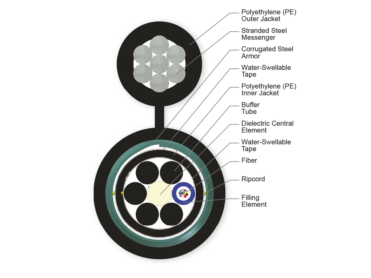 12 F, 50 µm multimode (OM2)