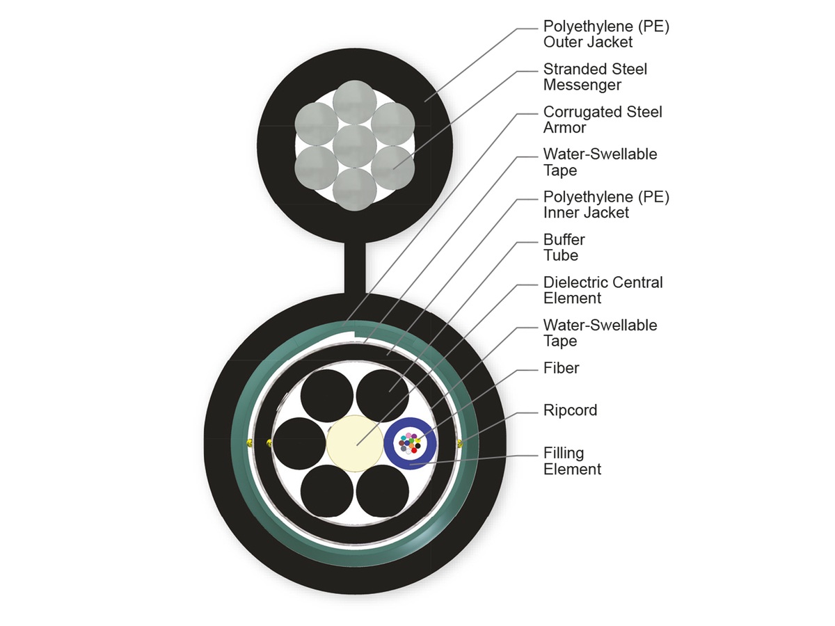 12 F, 50 µm multimode (OM2)