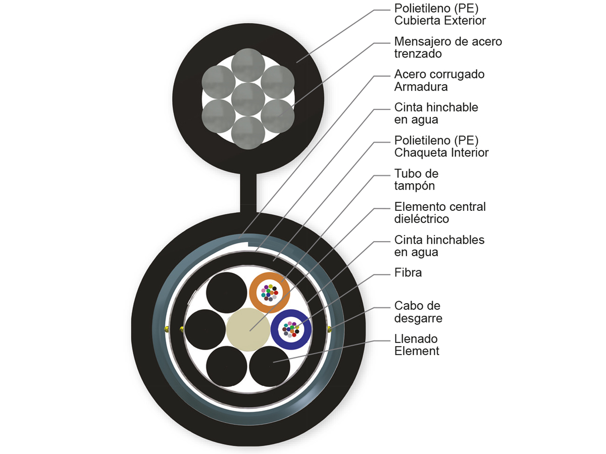 24 F, multimodo de 62,5 µm (OM1)