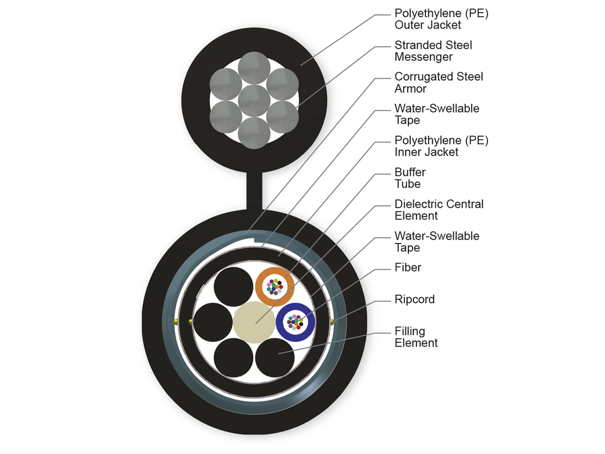 24 F, 50 µm multimode (OM2)