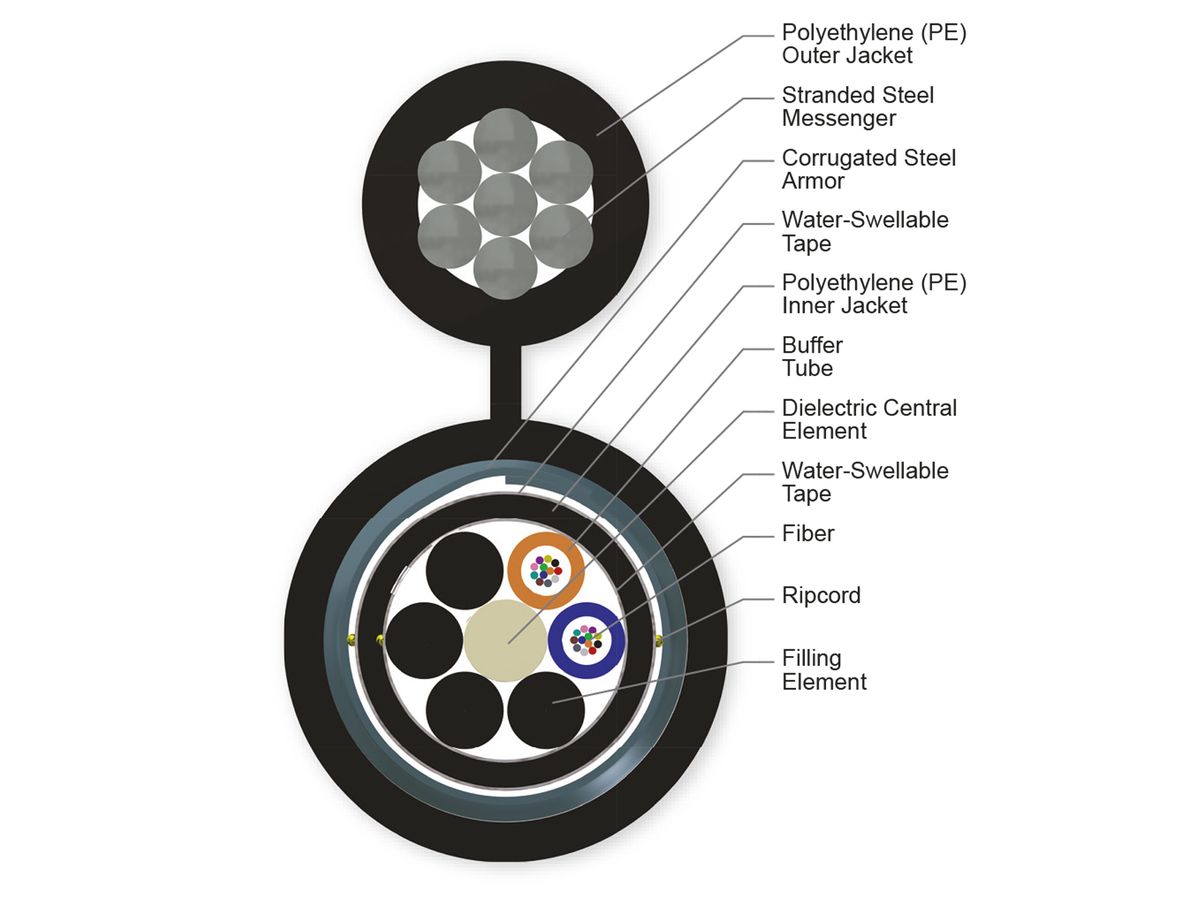 24 F, 50 µm multimode (OM2)
