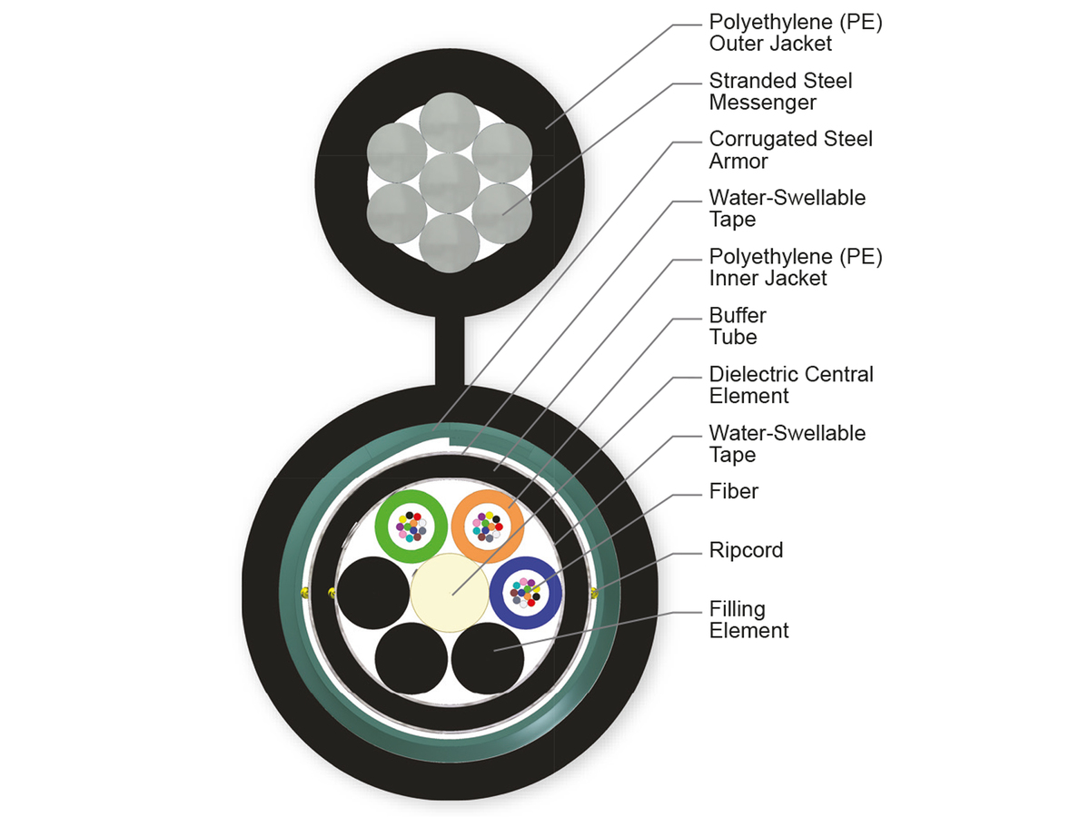 36 F, 62.5 µm multimode (OM1)