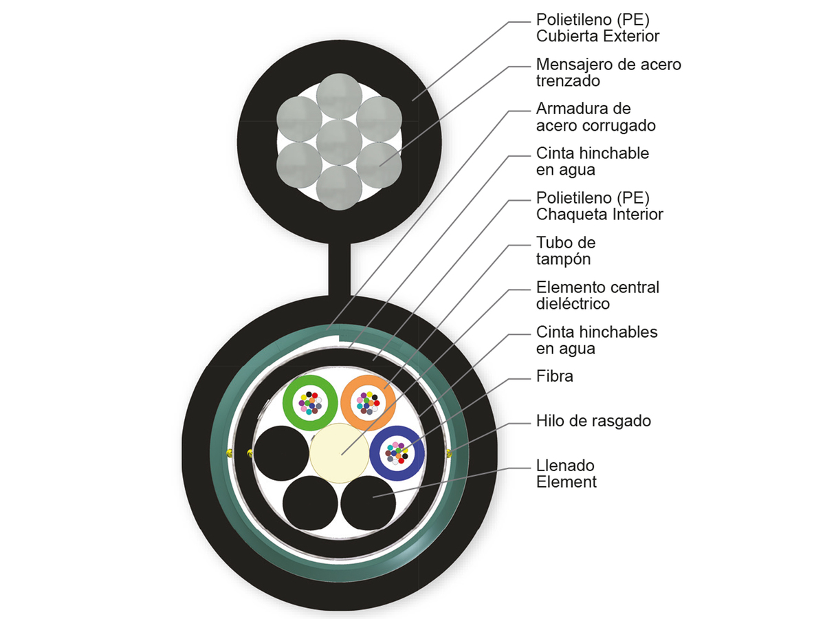 36 F, multimodo de 62,5 µm (OM1)