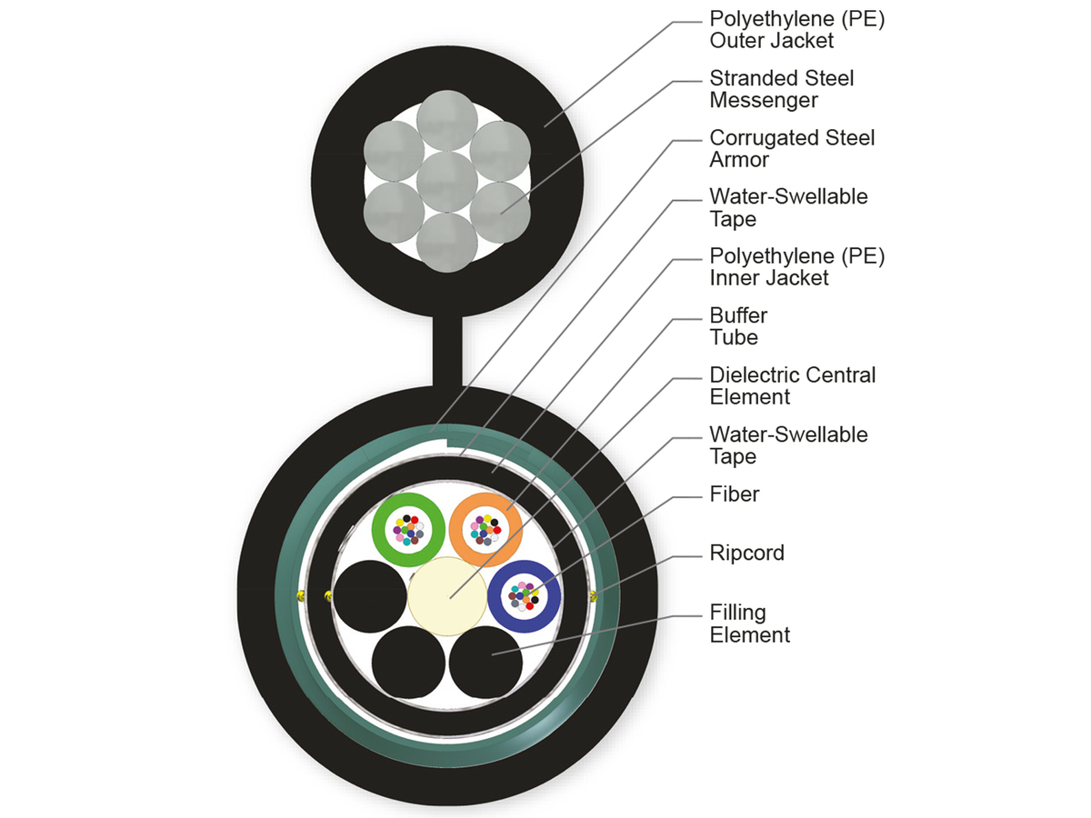 36 F, 62.5 µm multimode (OM1)