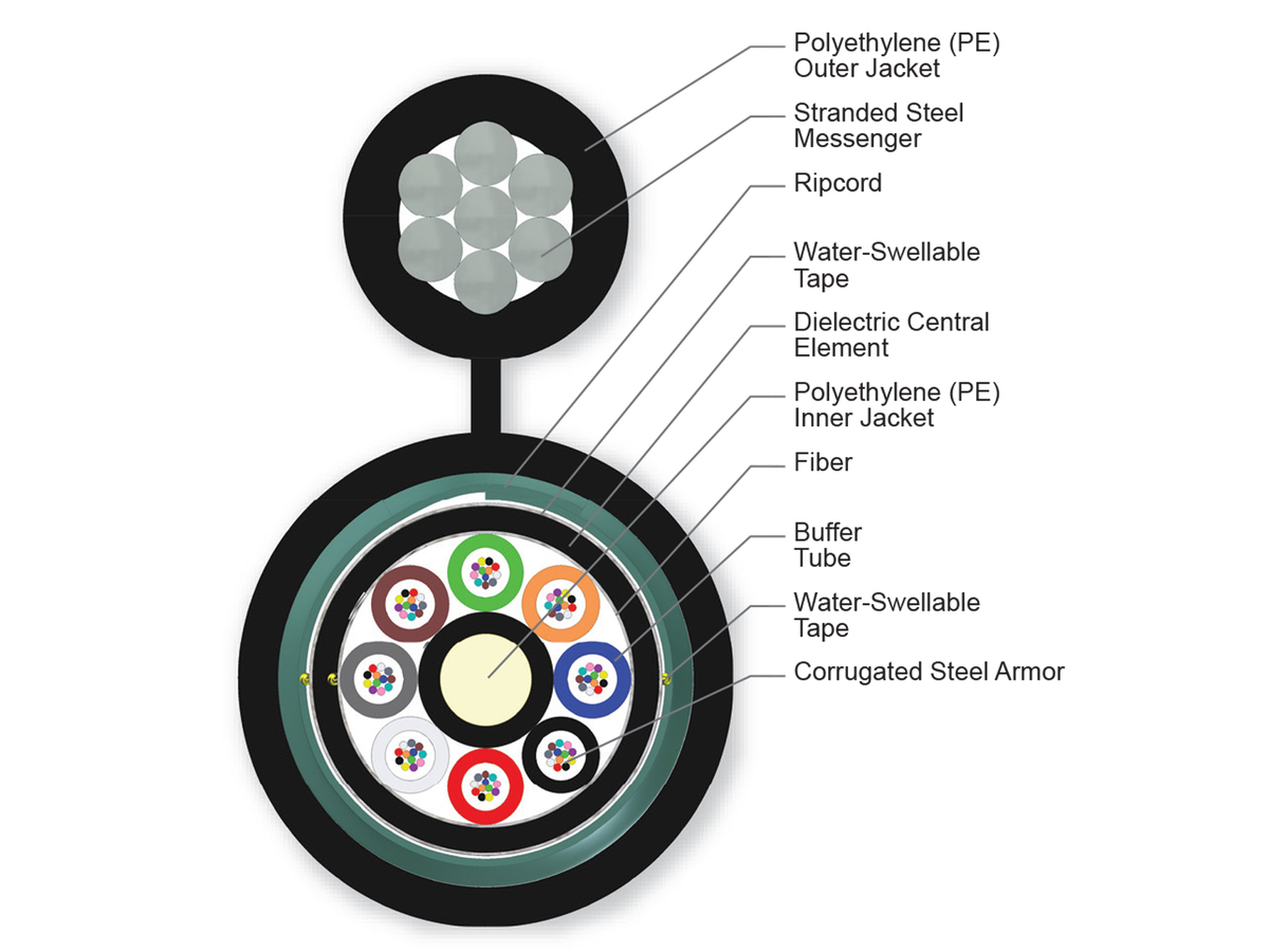 96 F, 62.5 µm multimode (OM1)