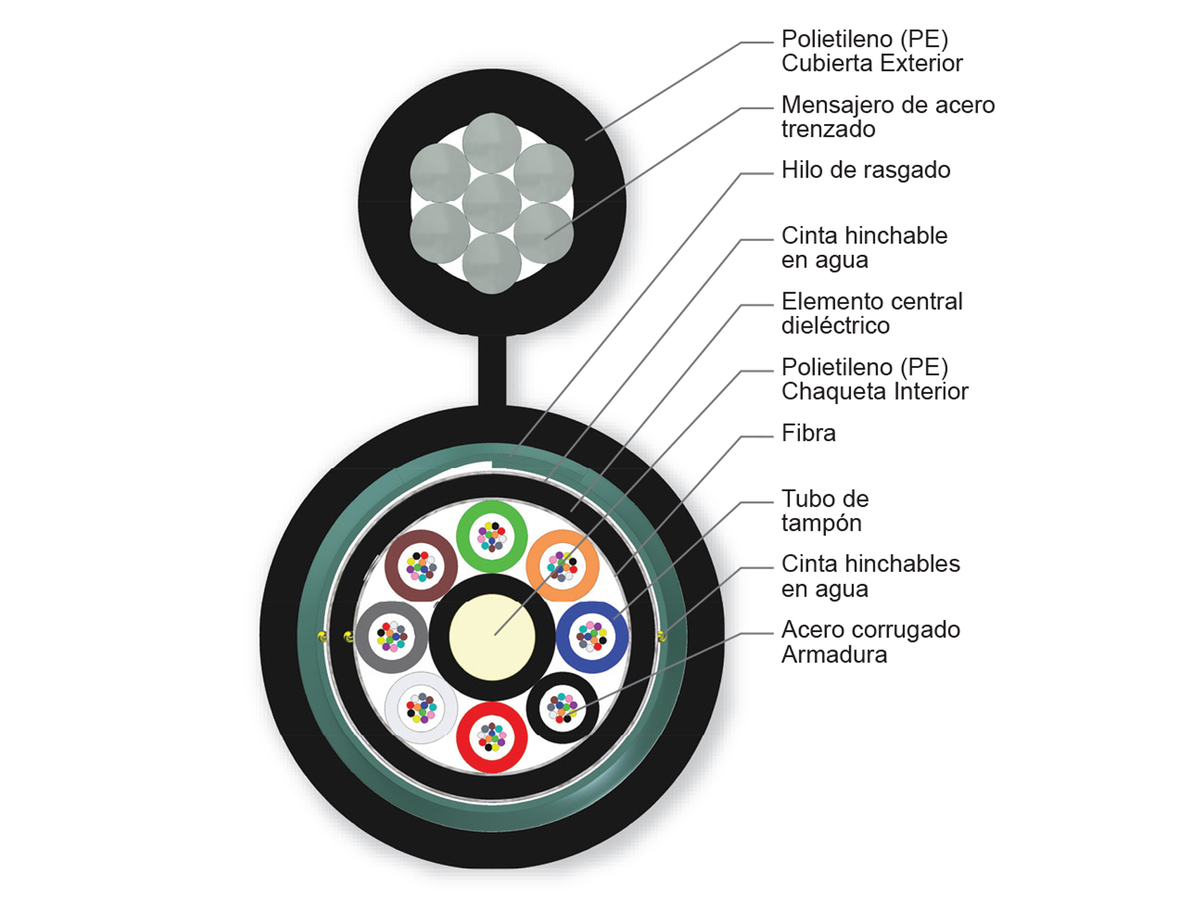 96 F, multimodo de 50 µm (OM2)