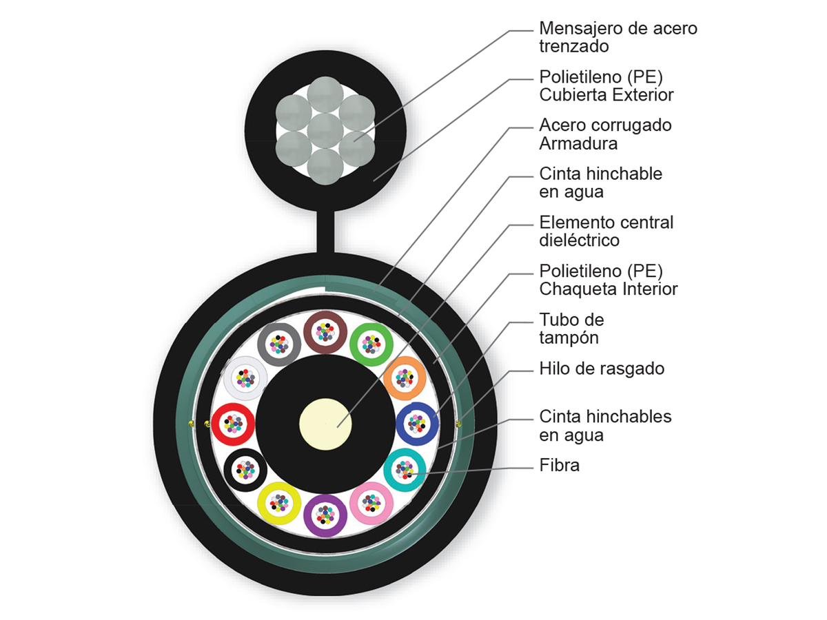 144 F, multimodo de 62,5 µm (OM1)