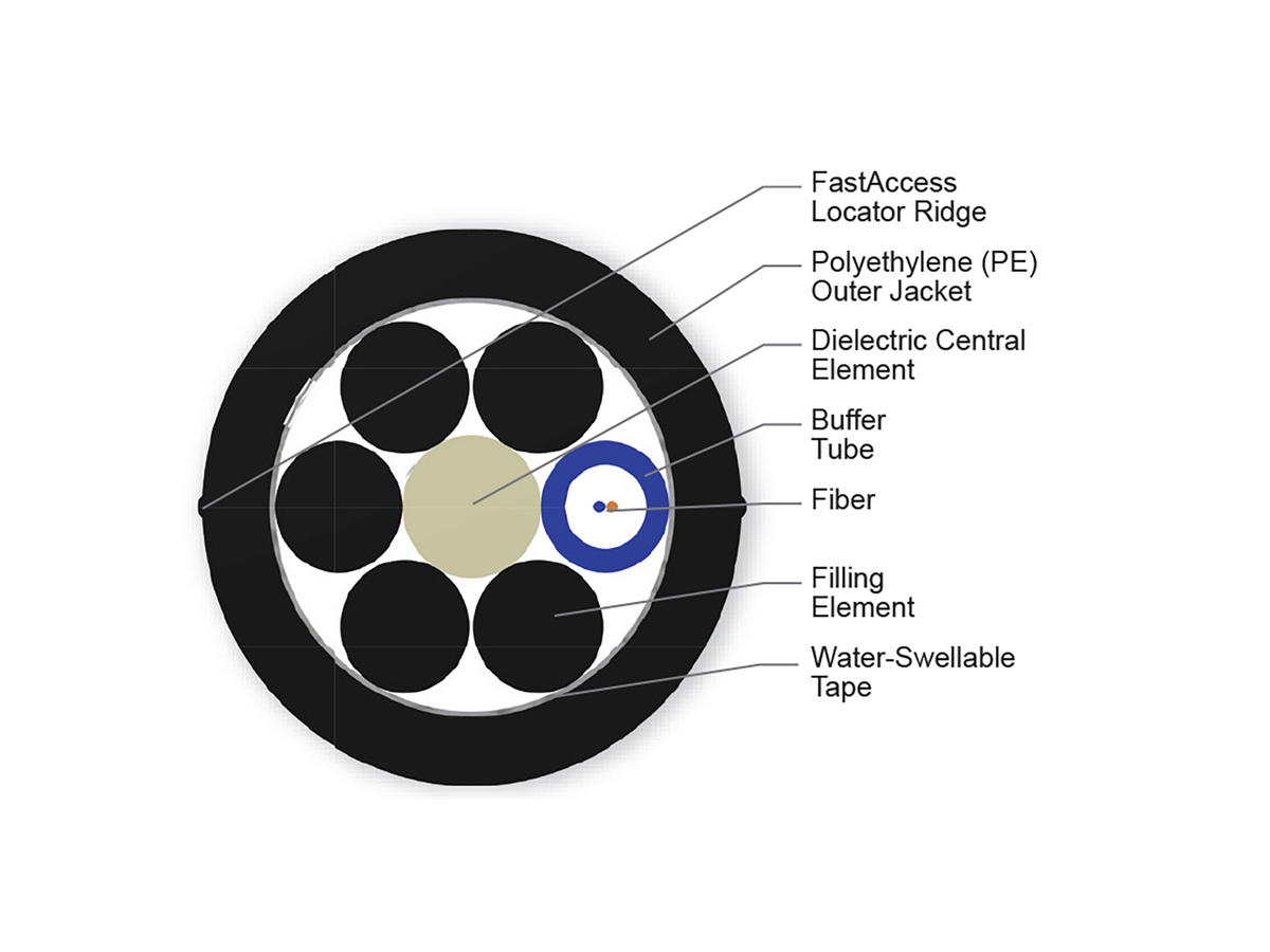 2 F, 50 µm multimode (OM2)