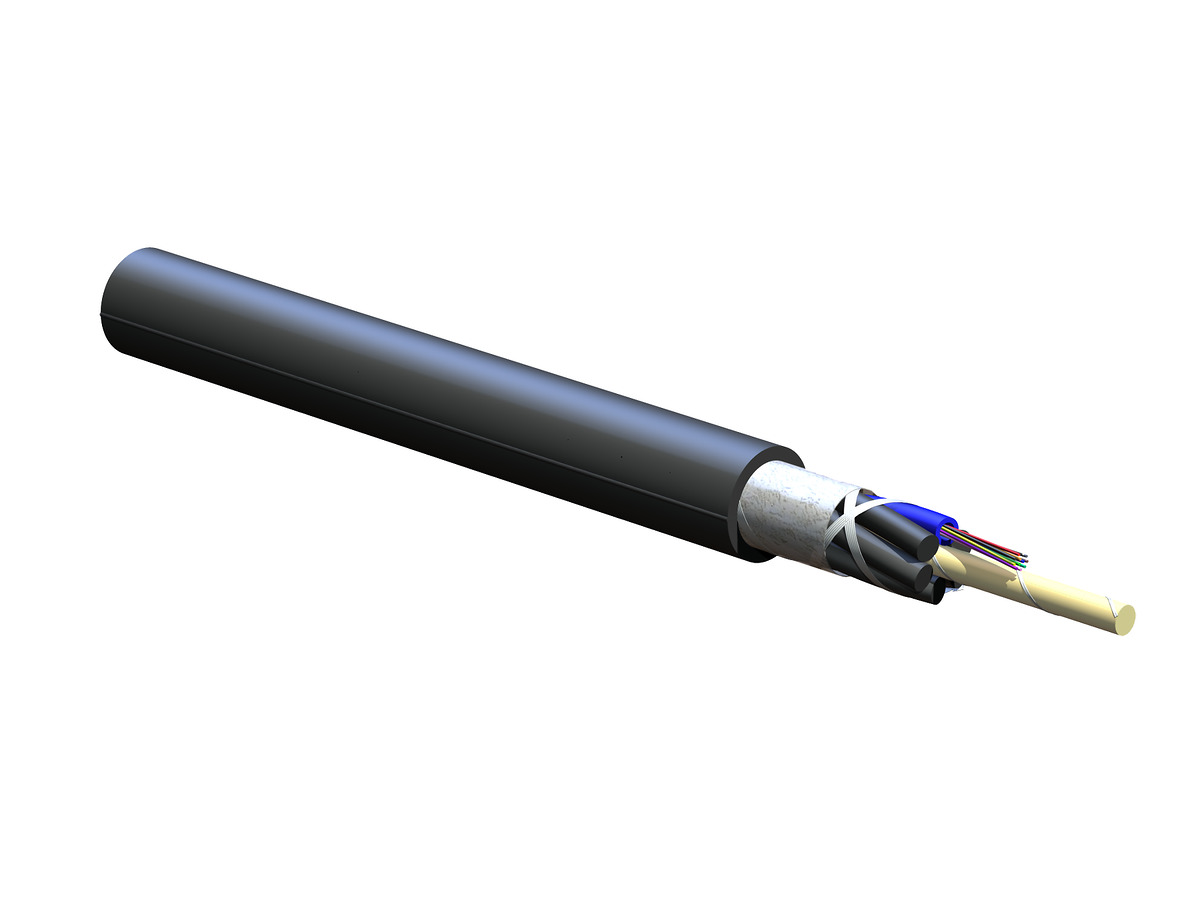 12 F, LEAF® fiber, Single-mode (OS2)