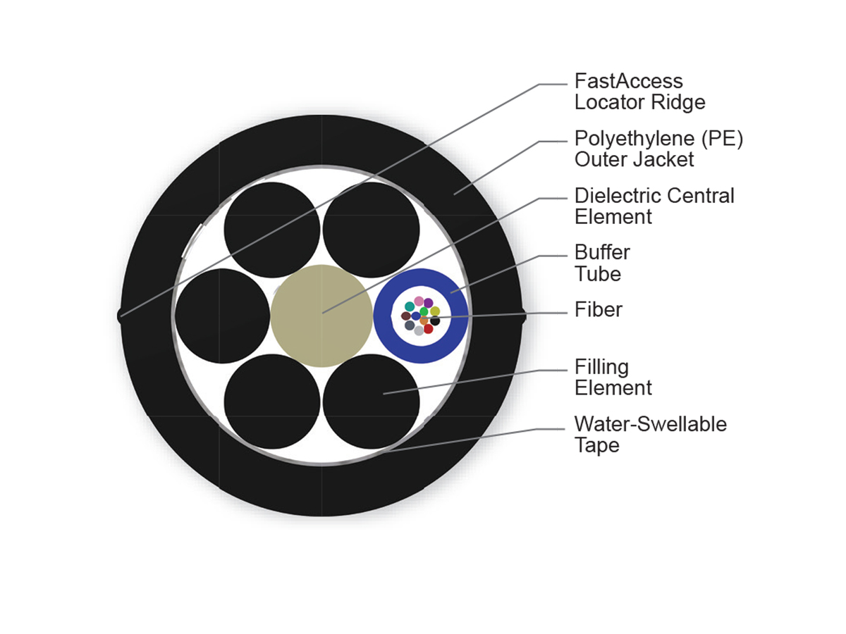 12 F, 50 µm multimode (OM4)