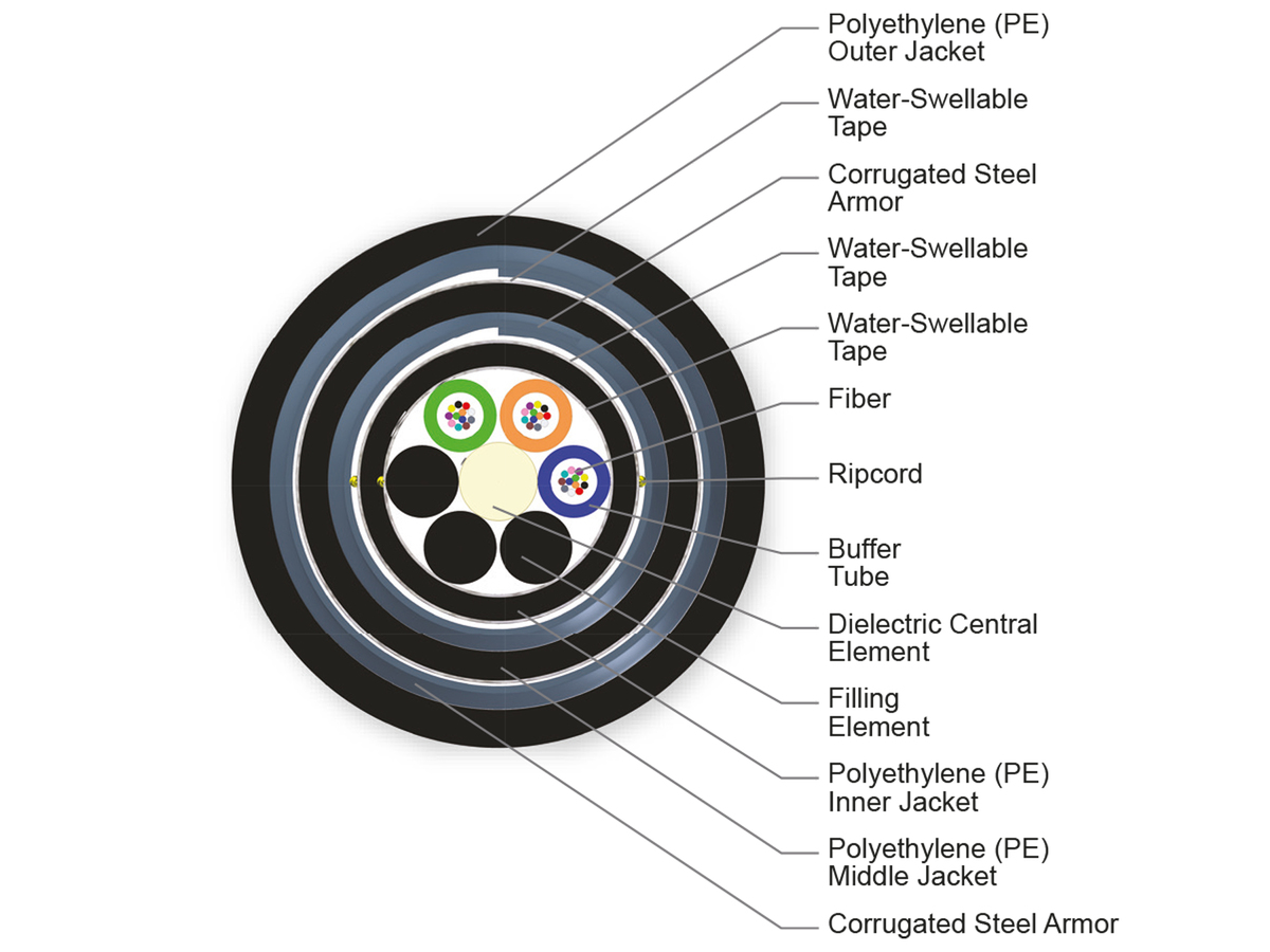 36 F, 62.5 µm multimode (OM1)