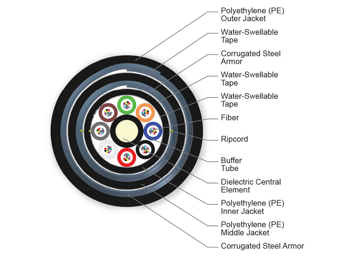 96 F, 62.5 µm multimode (OM1)