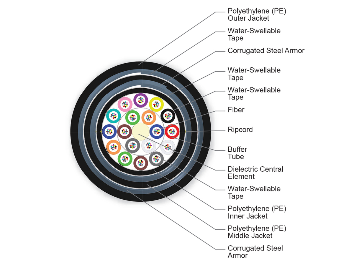 216 F, 50 µm multimode (OM2)