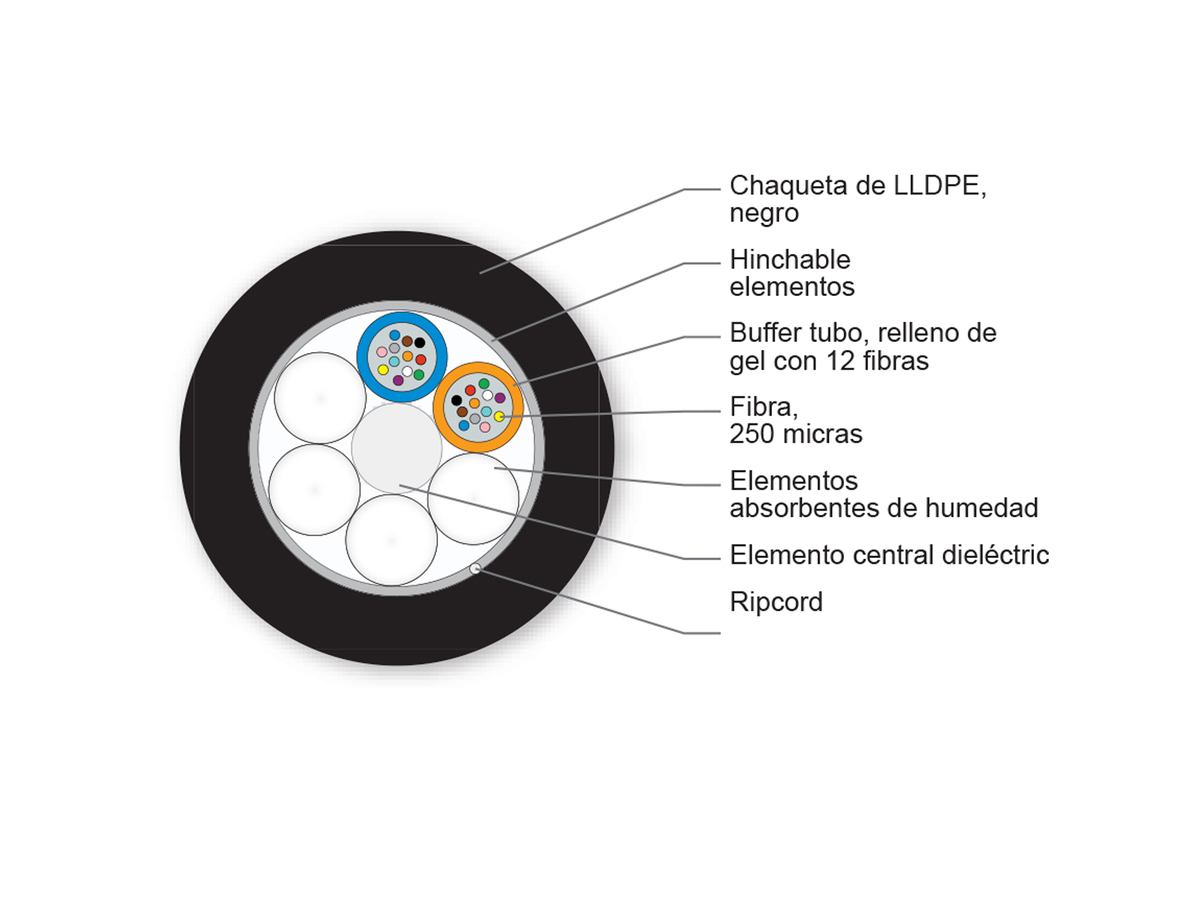 E10 LEAF® de 2x12 ITU G.655